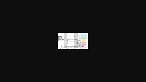 Phylogeny, biogeography and classification of Teletisoptera (Blattaria: Isoptera)