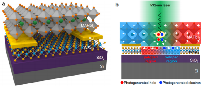 Lead halide perovskite sensitized WSe2 photodiodes with ultrahigh open circuit voltages