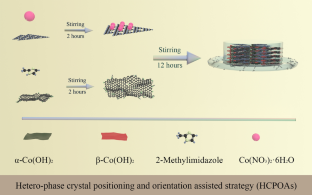 One-step construction of Co(OH)2-anchored g-C3N4 and rGO with phase junction for dopamine sensing and oxygen evolution reaction