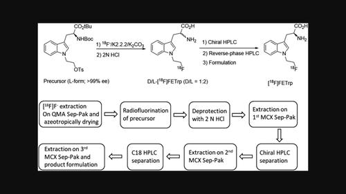 Automated radiosynthesis of 1-(2-[18F]fluoroethyl)-L-tryptophan ([18F]FETrp) for positron emission tomography (PET) imaging of cancer in humans