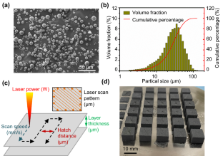 Laser additive manufacturing of zinc: formation quality, texture, and cell behavior