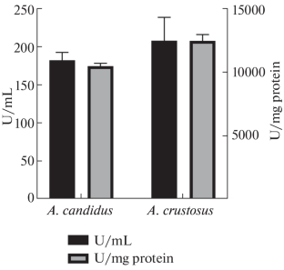 Evaluation of the Spectrum of Proteolytic Activity of Micromycetes of the Genus Aspergillus in Relation to Proteins of the Hemostasis System