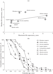 What Determines the Life Span of a Species?