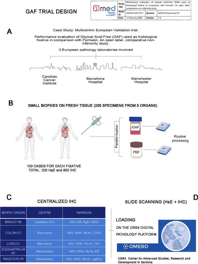 Glyoxal acid-free (GAF) histological fixative is a suitable alternative to formalin: results from an open-label comparative non-inferiority study.