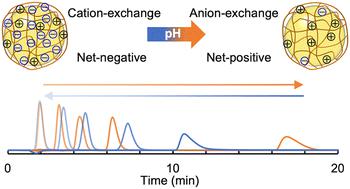 Cation/anion-exchange mode switching chromatography utilizing pH-responsive mixed charge polymer-modified silica beads†