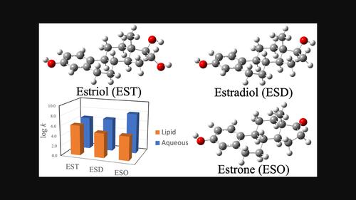 On the hydroperoxyl radical scavenging activity of estrogens in lipid and aqueous media: A theoretical study