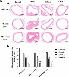 The SGLT2 inhibitor empagliflozin attenuates atherosclerosis progression by inducing autophagy.