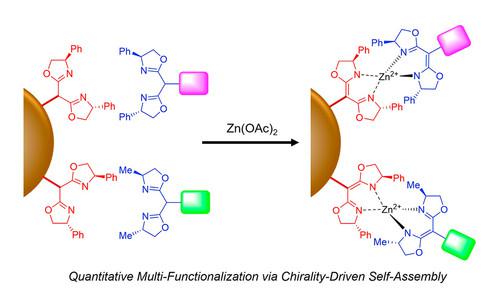 Multi-Functionalization of Solid Support via Zn(II)-Mediated Chirality-Directed Self-Assembly