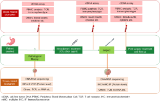 Immunoneoadjuvant therapy with immune checkpoint inhibitors of gastric cancer: an emerging exemplification : Immunoneoadjuvant therapy of gastric cancer.