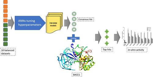 Artificial neural network models driven novel virtual screening workflow for the identification and biological evaluation of BACE1 inhibitors.