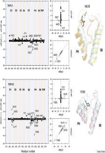 Relation between flexibility and intrinsically disorder regions in thermosensitive TRP channels reveal allosteric effects