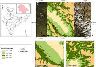 Understory diversity and floristic differentiation of Kashmir Himalayan coniferous forests: implications for conservation