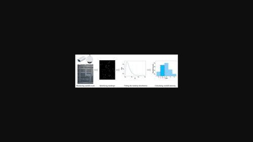 A review of video‐based rainfall measurement methods