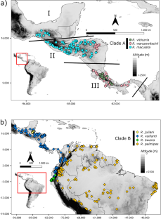 The roles of niche divergence, dispersal, and geology on the diversification of Neotropical true frogs from the Rana palmipes species group (Amphibia, Anura, Ranidae) during the Great American Biotic Interchange