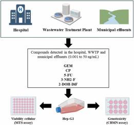 Hazard assessment of antineoplastic drugs and metabolites using cytotoxicity and genotoxicity assays