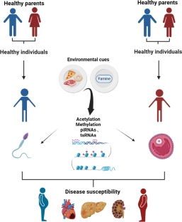 Epigenetic programming for obesity and noncommunicable disease: From womb to tomb.