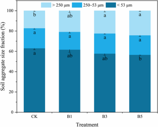 Differences in Soil Organic Carbon Accumulation After 8 Years of Biochar Application with High and Low Rates