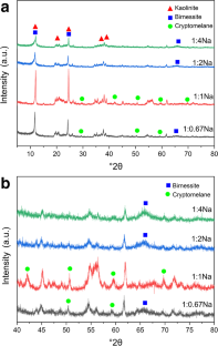 The Formation and Transformation of Manganese Oxide Minerals on the Surface of Kaolinite