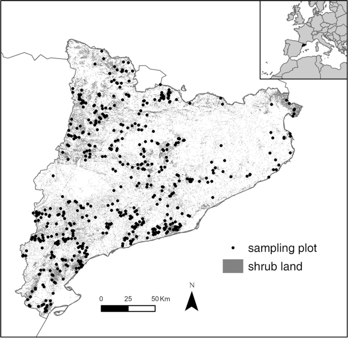 Composition and structure of Mediterranean shrublands for fuel characterization