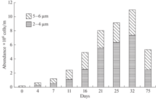 Biochemical and Ultrastructural Changes in the Microalgae Tisochrysis lutea (Bendif et Probert, 2013) (Haptophyta) at Different Stages of Growth in Enrichment Culture