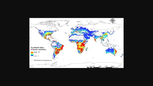 Spatial and climatic analyses for predicting potential distribution of an invasive ant, Linepithema humile (Hymenoptera: Formicidae)