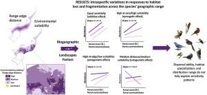 Populations across bird species distribution ranges respond differently to habitat loss and fragmentation: implications for conservation strategies