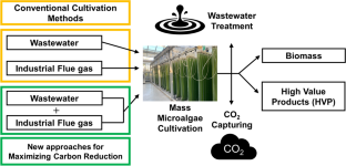 Utilizing wastewater and flue gas for enhancing biomass and high-value products from microalgae