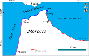 Evaluation of cetacean strandings on the north-western coast of Morocco from 2016 to 2021