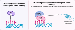 Germline Abnormalities in DNA Methylation and Histone Modification and Associated Cancer Risk