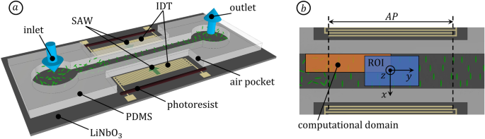 On the behavior of prolate spheroids in a standing surface acoustic wave field