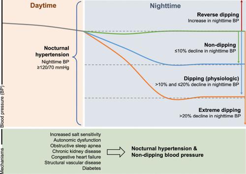 Non-Dipping Blood Pressure or Nocturnal Hypertension: Does One Matter More?