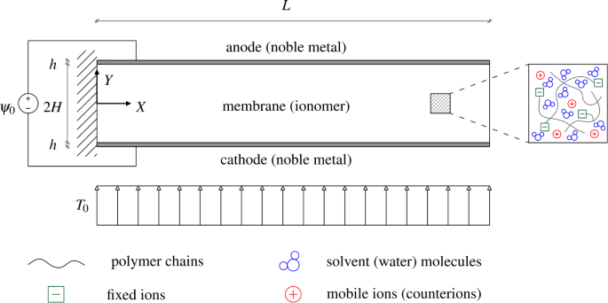 Electrochemo-poromechanics of Ionic Polymer Metal Composites: Towards the Accurate Finite Element Modelling of Actuation and Sensing