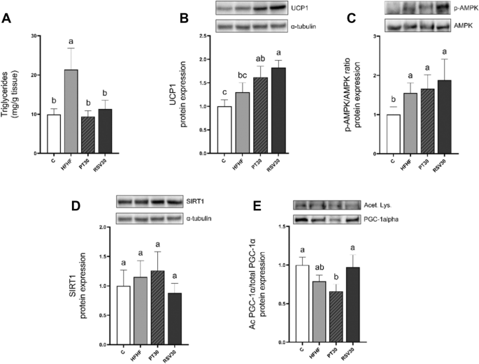 Changes in brown adipose tissue induced by resveratrol and its analogue pterostilbene in rats fed with a high-fat high-fructose diet.