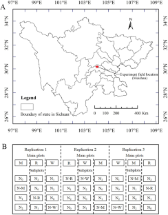 Improving yield and nitrogen use efficiency of hybrid indica rice through optimizing nitrogen application strategies in the rice season under different rotation patterns