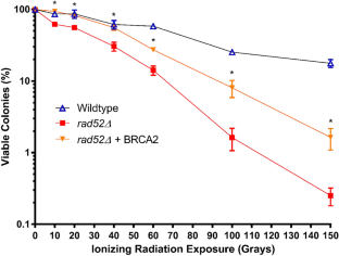 Expression of human BRCA2 in Saccharomyces cerevisiae complements the loss of RAD52 in double-strand break repair.