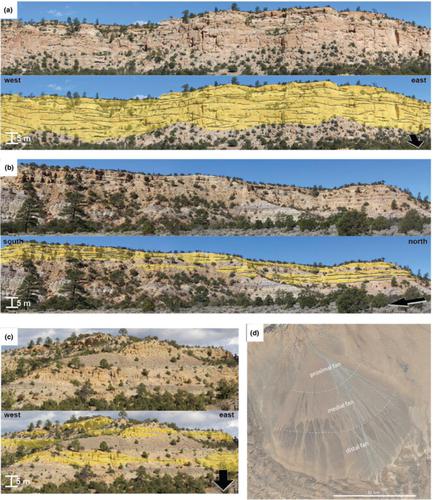 Progradational-to-retrogradational styles of Palaeogene fluvial fan successions in the San Juan Basin, New Mexico