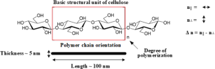 Birefringence of cellulose: review, measurement techniques, dispersion models, biomedical applications and future perspectives