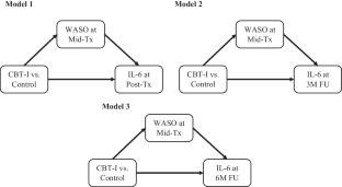 A Preliminary Examination of the Effects and Mechanisms of Cognitive Behavioral Therapy for Insomnia on Systemic Inflammation Among Patients with Knee Osteoarthritis.