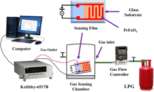 Synthesis of bismuth-doped praseodymium ortho ferrite nanomaterials for LPG sensing