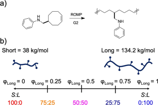 Modular material properties in bimodal blends of amine functionalized polyolefins