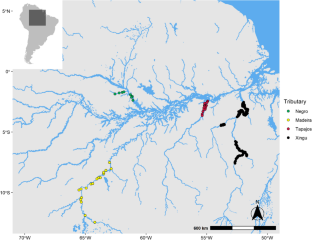 ‘Disentangling’ the advantages from gillnets in freshwater small-scale fisheries in the Brazilian Amazon