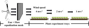 Growth retardation and photosynthetic responses of Watermelon plug seedlings exposed to wind stimulation