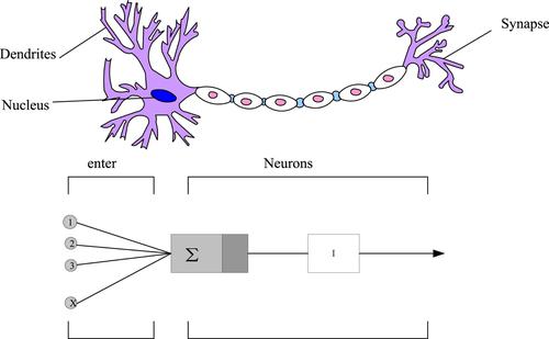 Retracted: Neural network economic forecast method based on genetic algorithm