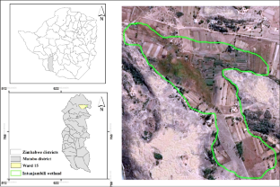 Contestations and struggles in the use and protection of wetland ecosystems in communal areas of Zimbabwe: a case study of Intunjambili wetland in Matobo district