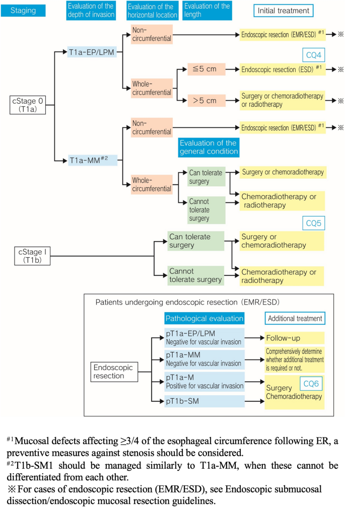 Esophageal cancer practice guidelines 2022 edited by the Japan esophageal society: part 1.