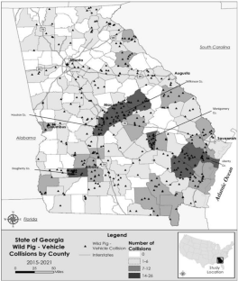 Characterization of recent wild pig-vehicle collisions in Georgia, USA