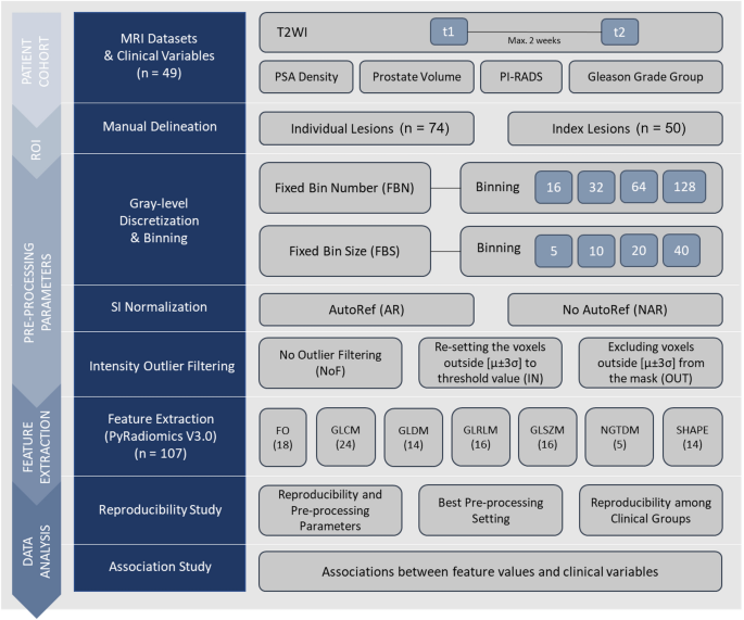 The impact of pre-processing and disease characteristics on reproducibility of T2-weighted MRI radiomics features.