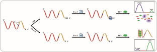 A Ratiometric Fluorescence Biosensor for Detection of Alkaline Phosphatase Via an Advanced Chemometric Model.