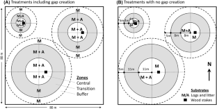 Experimental Evidence that Forest Structure Controls Detrital Decomposition