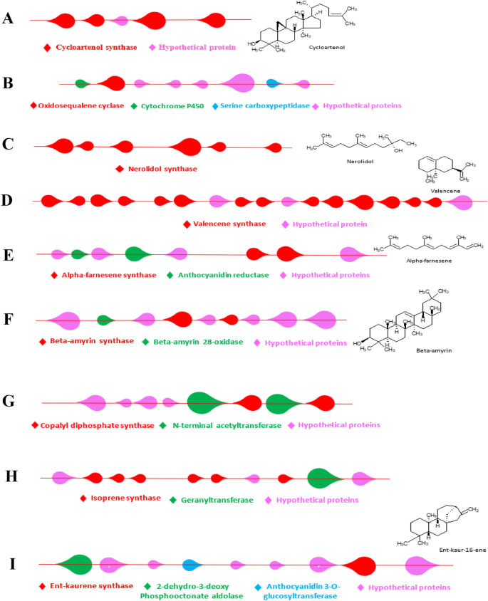 Comparative bioinformatics analysis of the biosynthetic pathways and key candidate genes of three species, Vitis vinifera, Fragaria vesca and Olea europaea, furnish enzyme sets for the production of pharmaceutically valuable terpenes in heterologous hosts